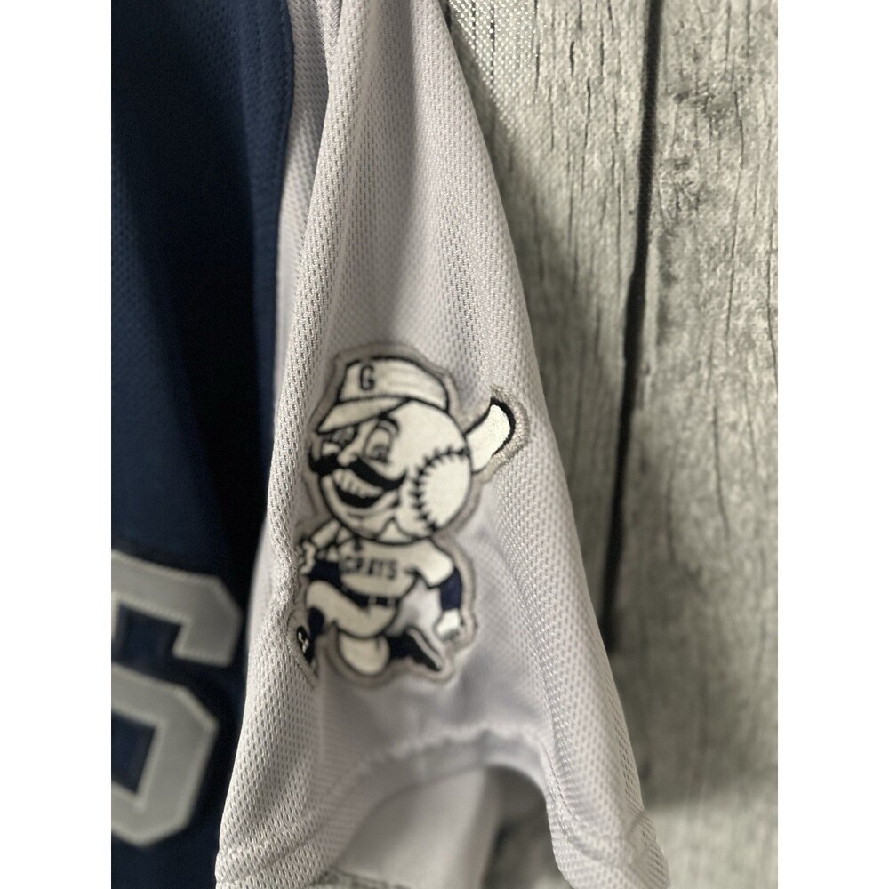 Homestead Grays Jersey Mens XLarge Gray Blue Negro Leagues Baseball # 24 Button - Picture 4 of 4